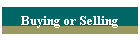 Buying or Selling